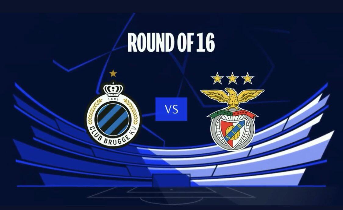 花的火力结 花的火力结